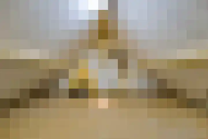 Minderbroederssingel 20 Roermond thumbnail 48