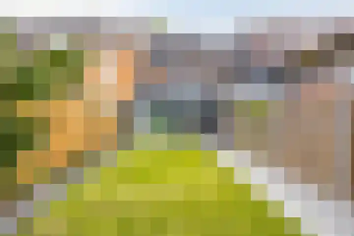 Minderbroederssingel 20 Roermond thumbnail 52