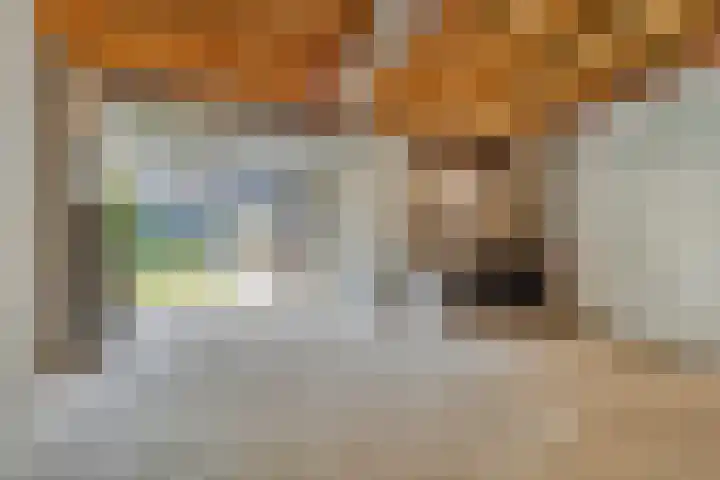 Minderbroederssingel 20 Roermond thumbnail 55