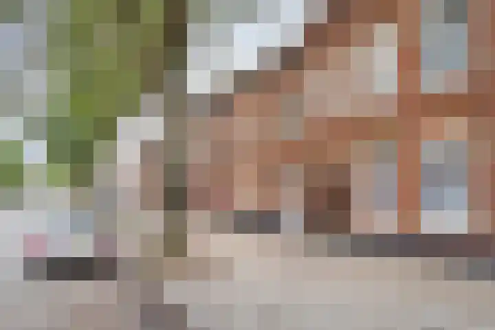 Minderbroederssingel 20 Roermond thumbnail 57