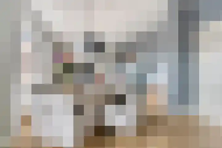 Minderbroederssingel 21 A Roermond thumbnail 13