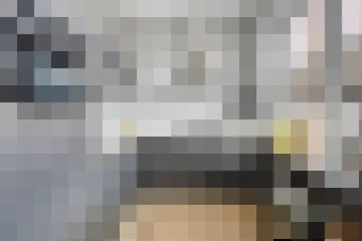 Minderbroederssingel 21 A Roermond thumbnail 14