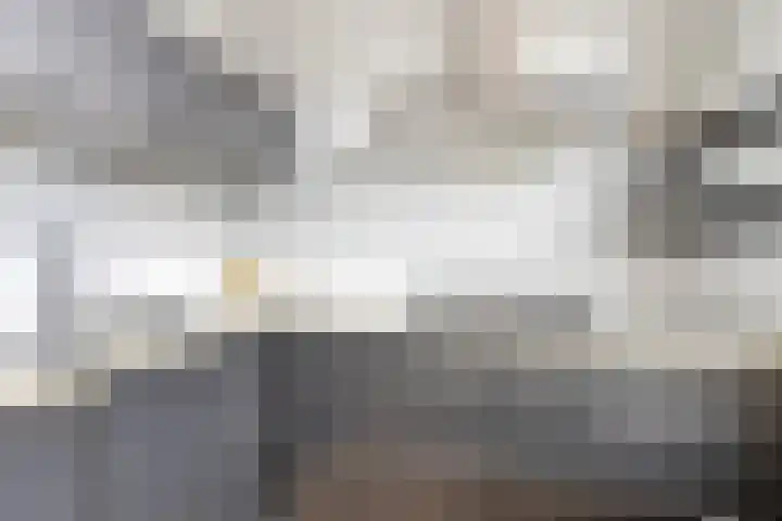 Minderbroederssingel 21 A Roermond thumbnail 15