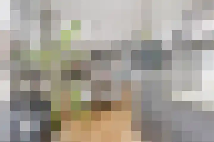Minderbroederssingel 21 A Roermond thumbnail 17