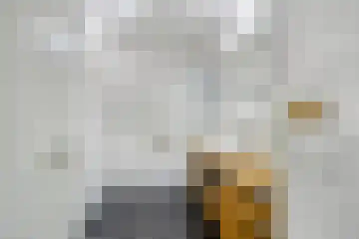 Minderbroederssingel 21 A Roermond thumbnail 20