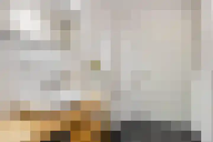 Minderbroederssingel 21 A Roermond thumbnail 22