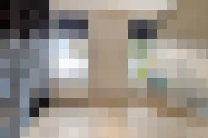 Minderbroederssingel 21 A Roermond thumbnail 23