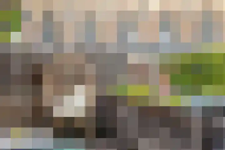 Minderbroederssingel 21 A Roermond thumbnail 27