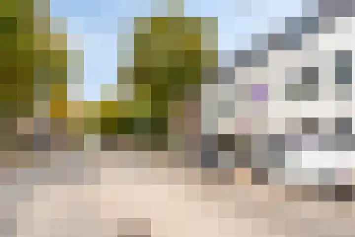 Minderbroederssingel 21 A Roermond thumbnail 31