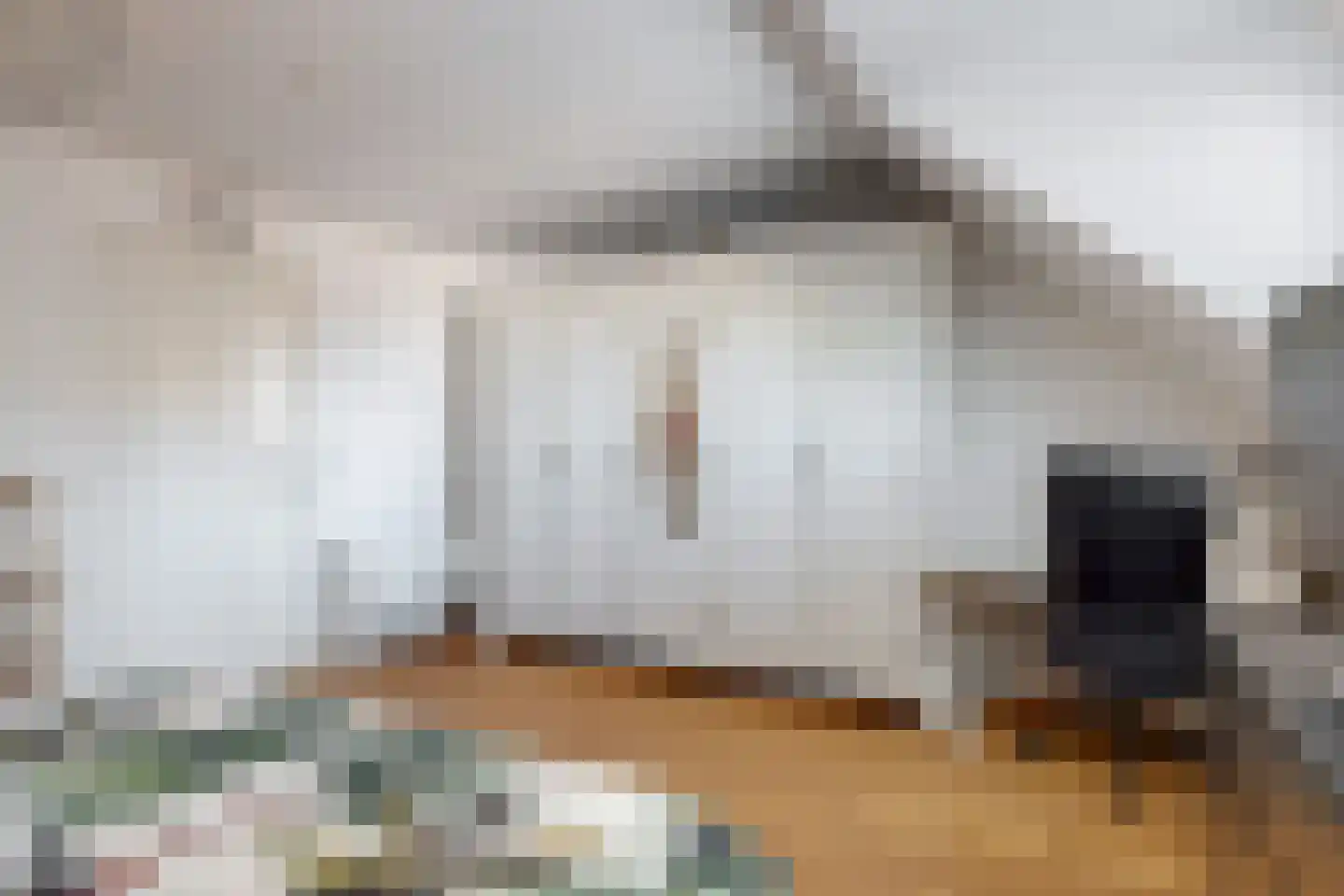 Minderbroederssingel 25 Roermond thumbnail 19