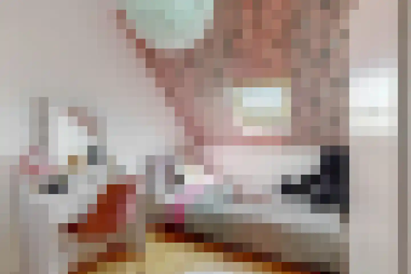 Minderbroederssingel 25 Roermond thumbnail 21