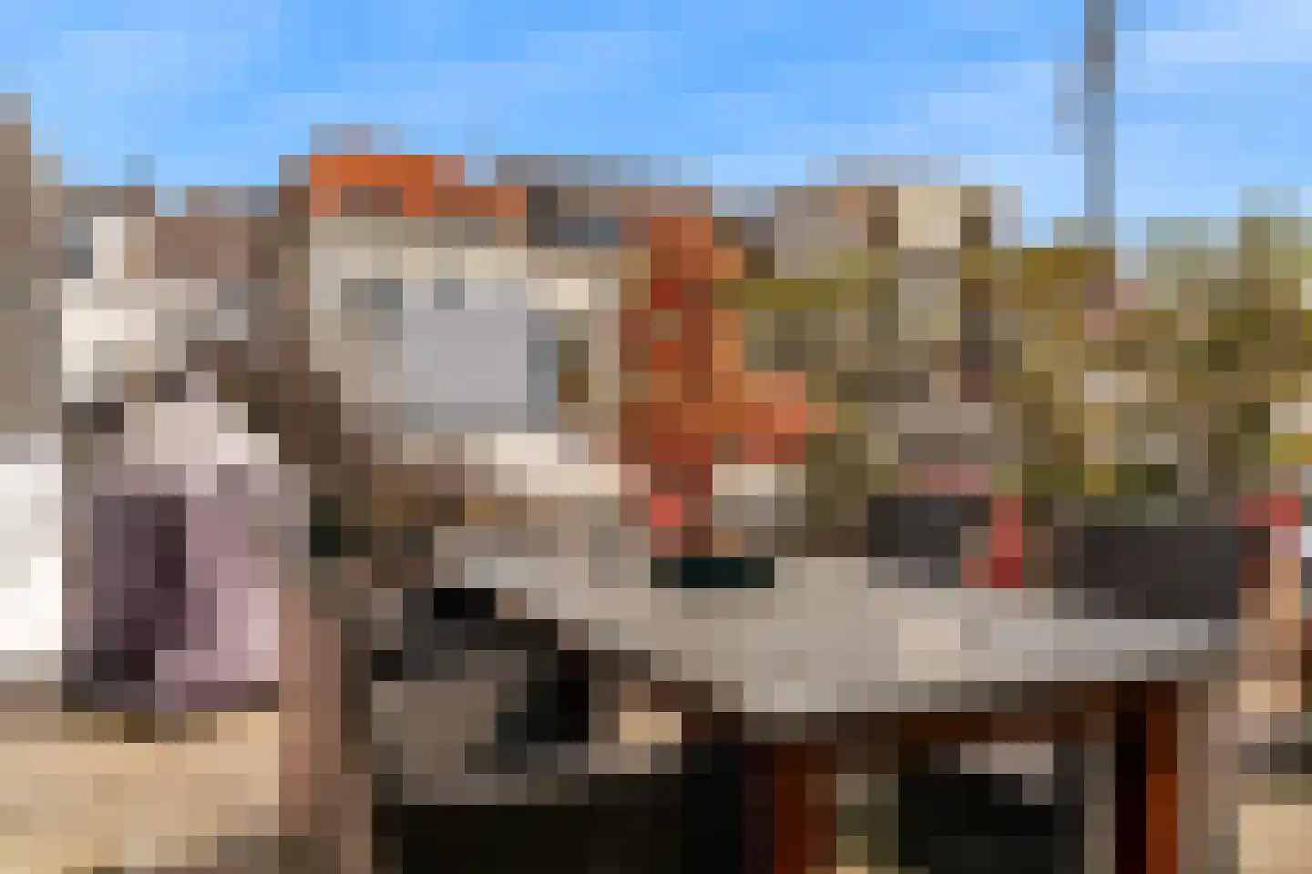 Minderbroederssingel 25 Roermond thumbnail 26