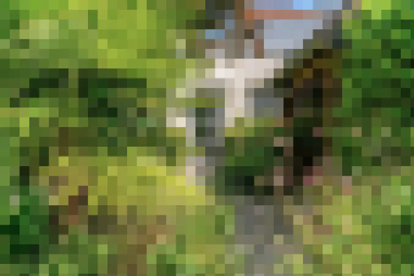 Minderbroederssingel 25 Roermond thumbnail 27