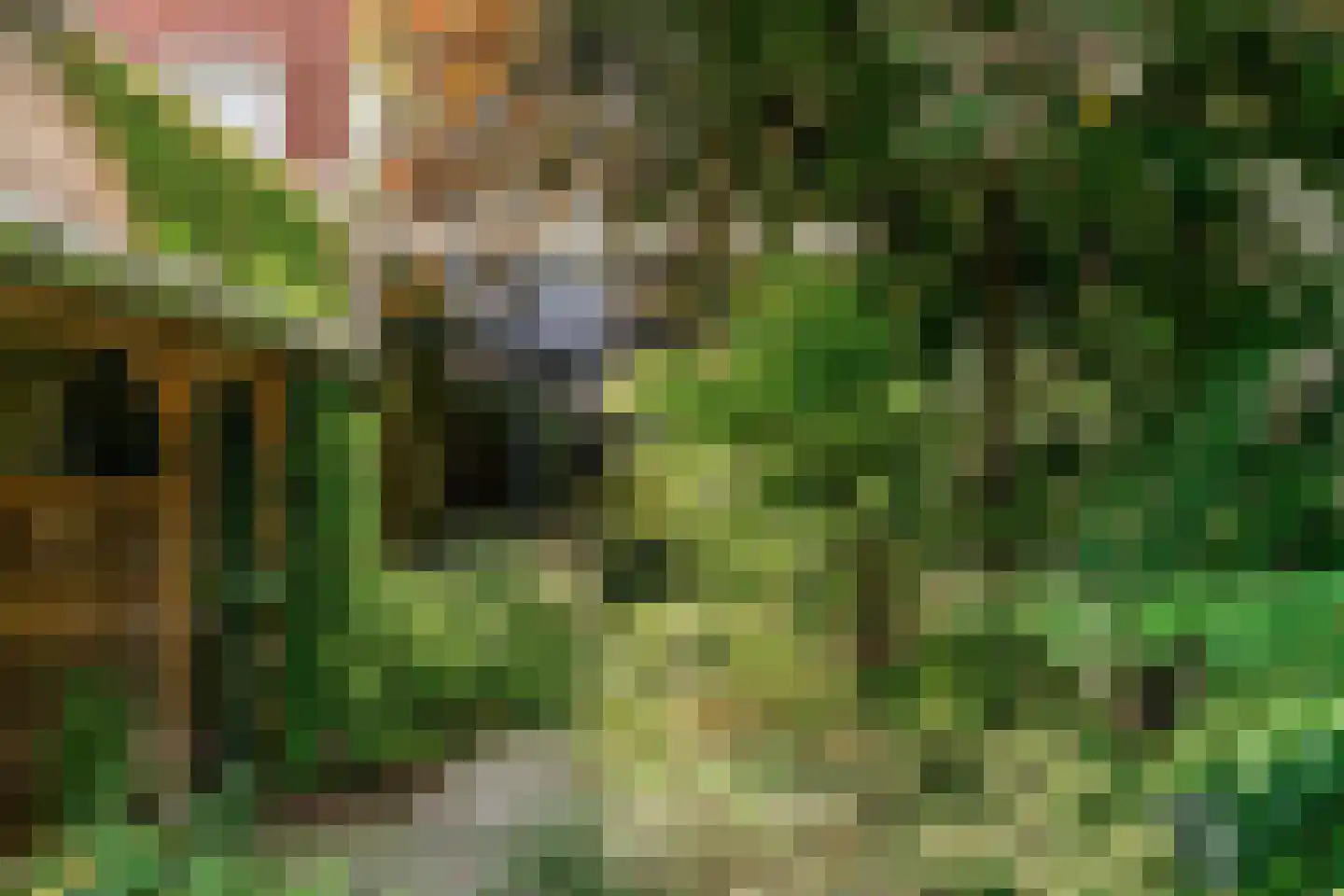 Minderbroederssingel 25 Roermond thumbnail 28