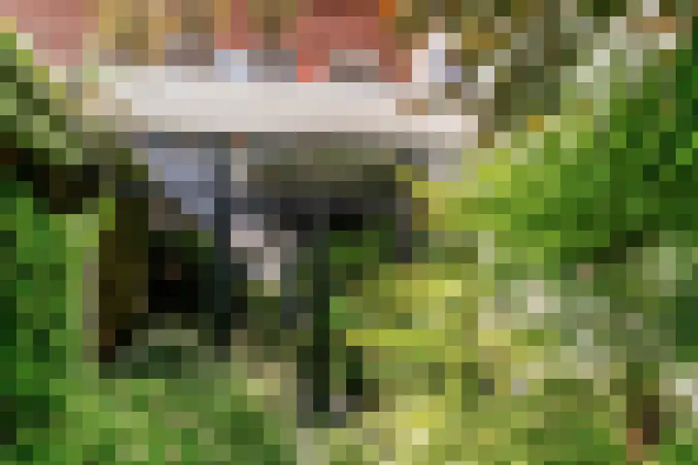 Minderbroederssingel 25 Roermond thumbnail 29