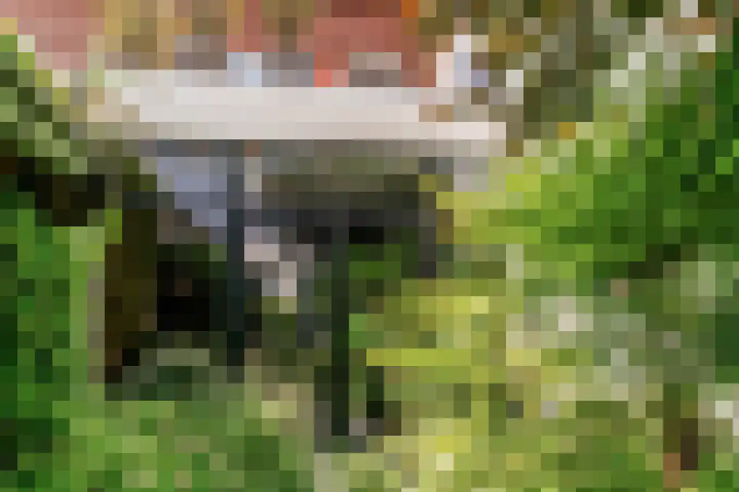 Minderbroederssingel 25 Roermond thumbnail 29