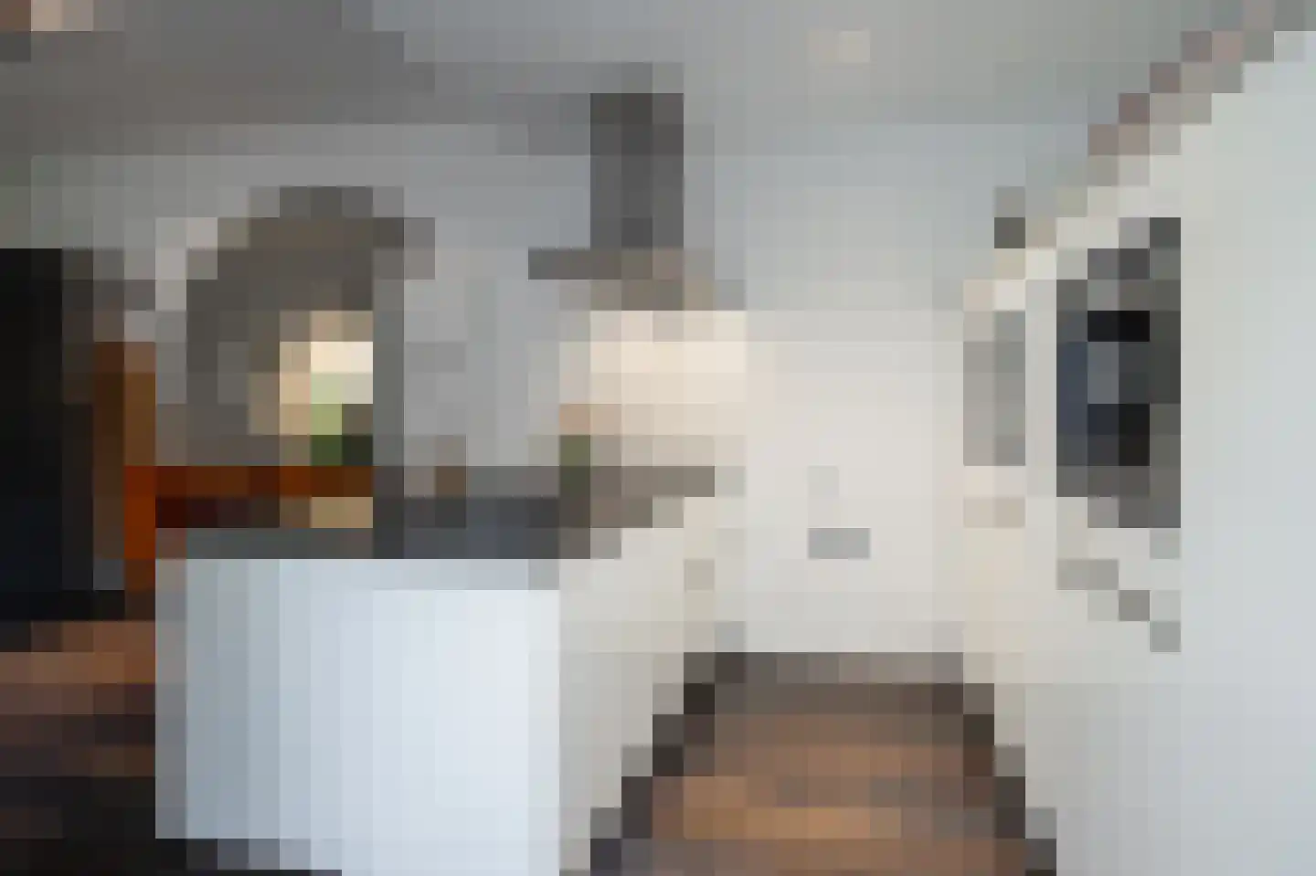 Minderbroederssingel 28 Roermond thumbnail 13