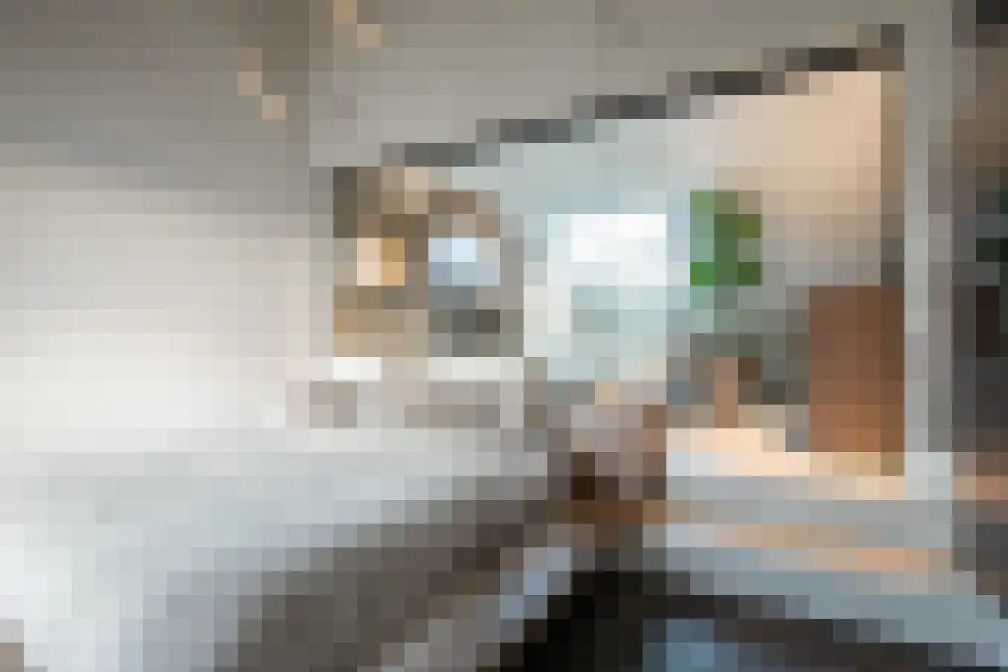 Minderbroederssingel 28 Roermond thumbnail 25