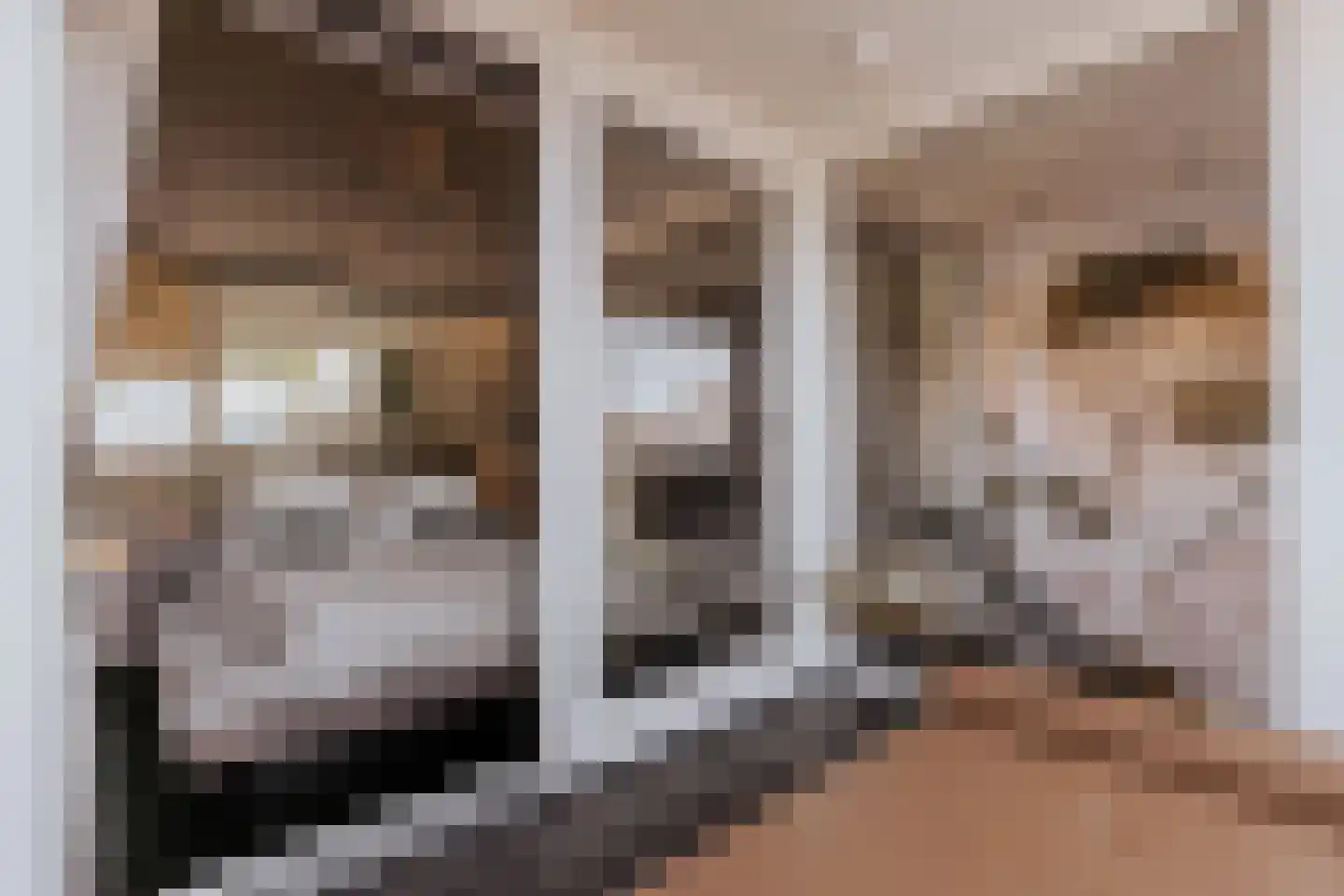 Minderbroederssingel 28 Roermond thumbnail 30