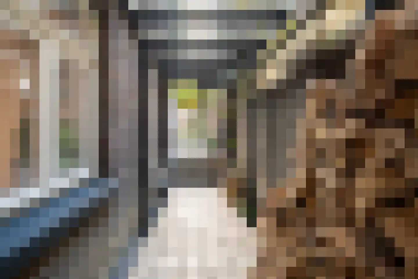 Minderbroederssingel 28 Roermond thumbnail 32