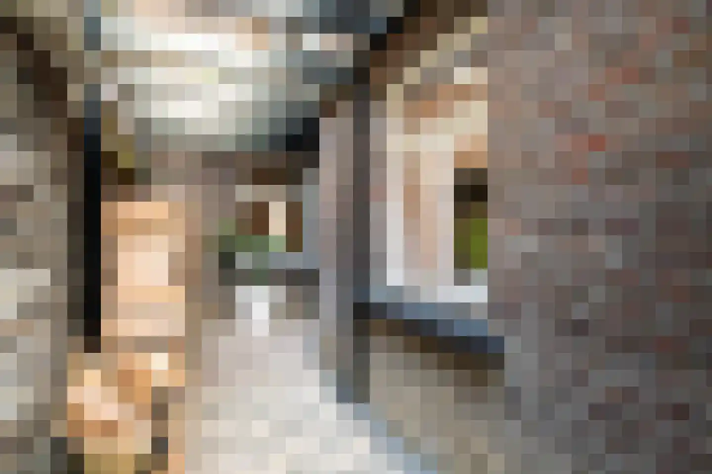 Minderbroederssingel 28 Roermond thumbnail 33