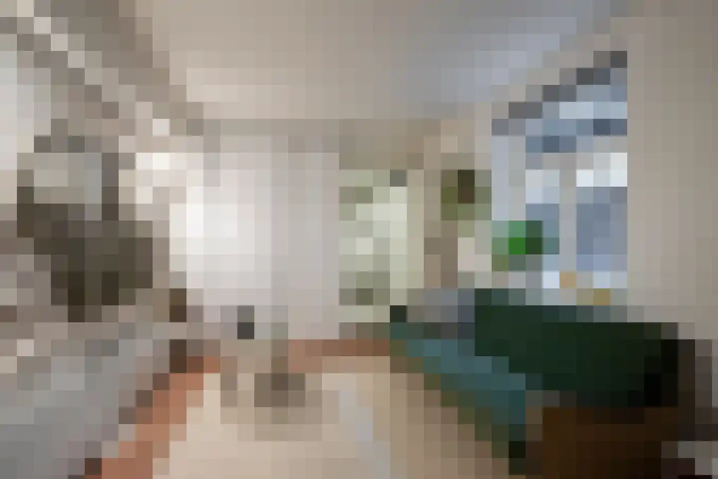 Minderbroederssingel 28 Roermond thumbnail 34