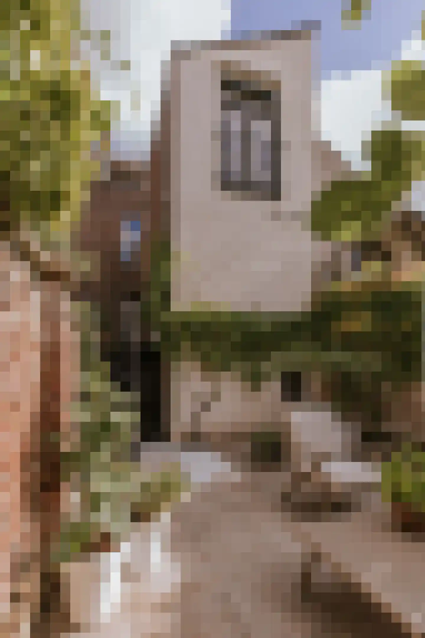 Minderbroederssingel 28 Roermond thumbnail 36