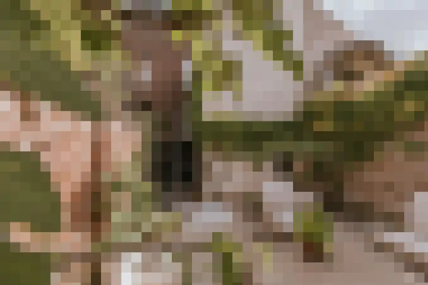 Minderbroederssingel 28 Roermond thumbnail 38