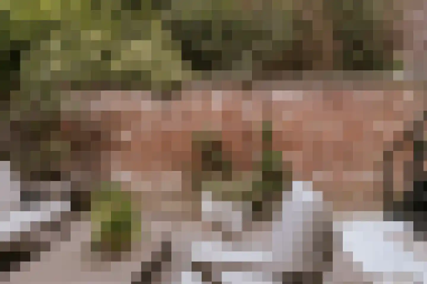 Minderbroederssingel 28 Roermond thumbnail 39