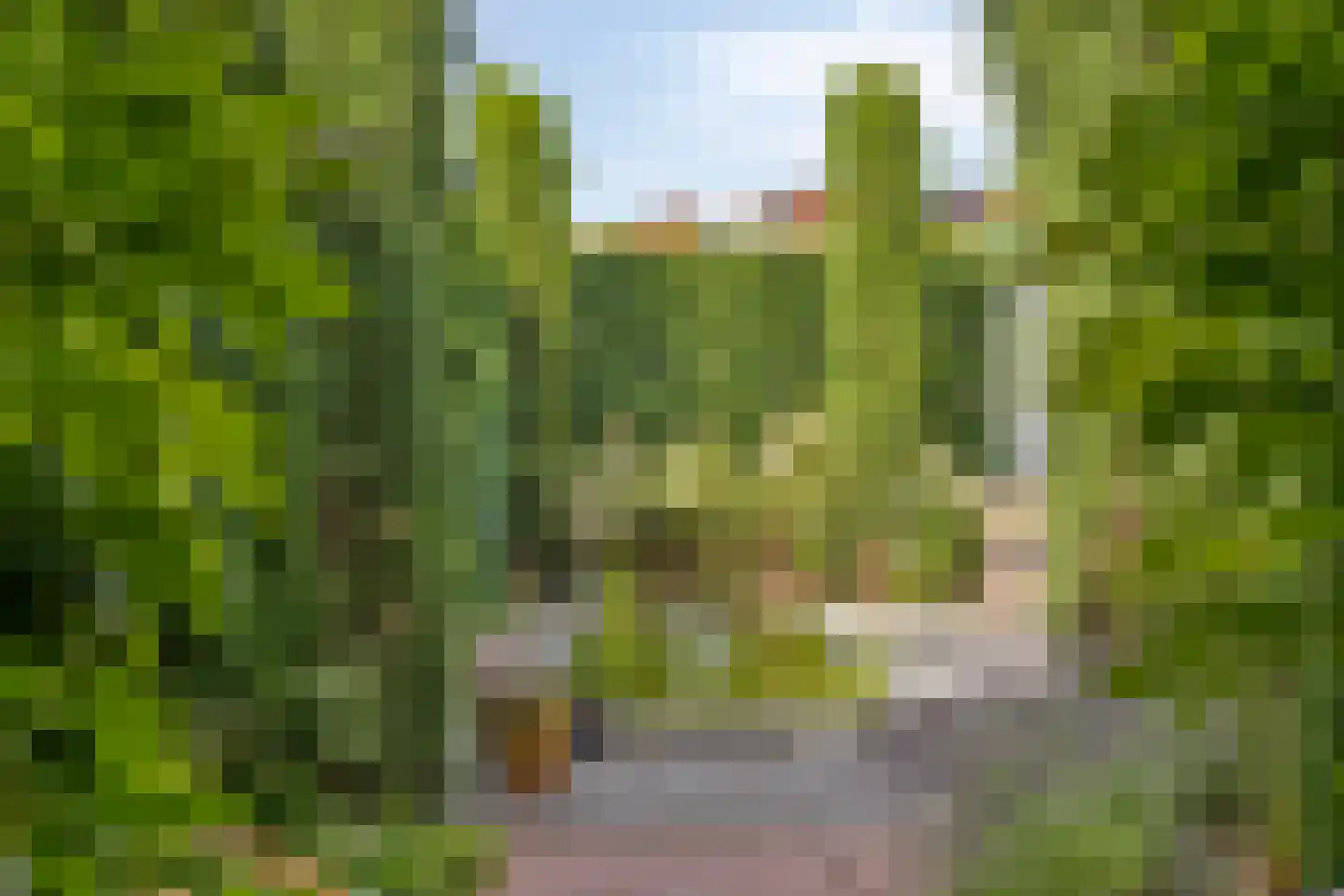 Minderbroederssingel 62 Roermond thumbnail 34