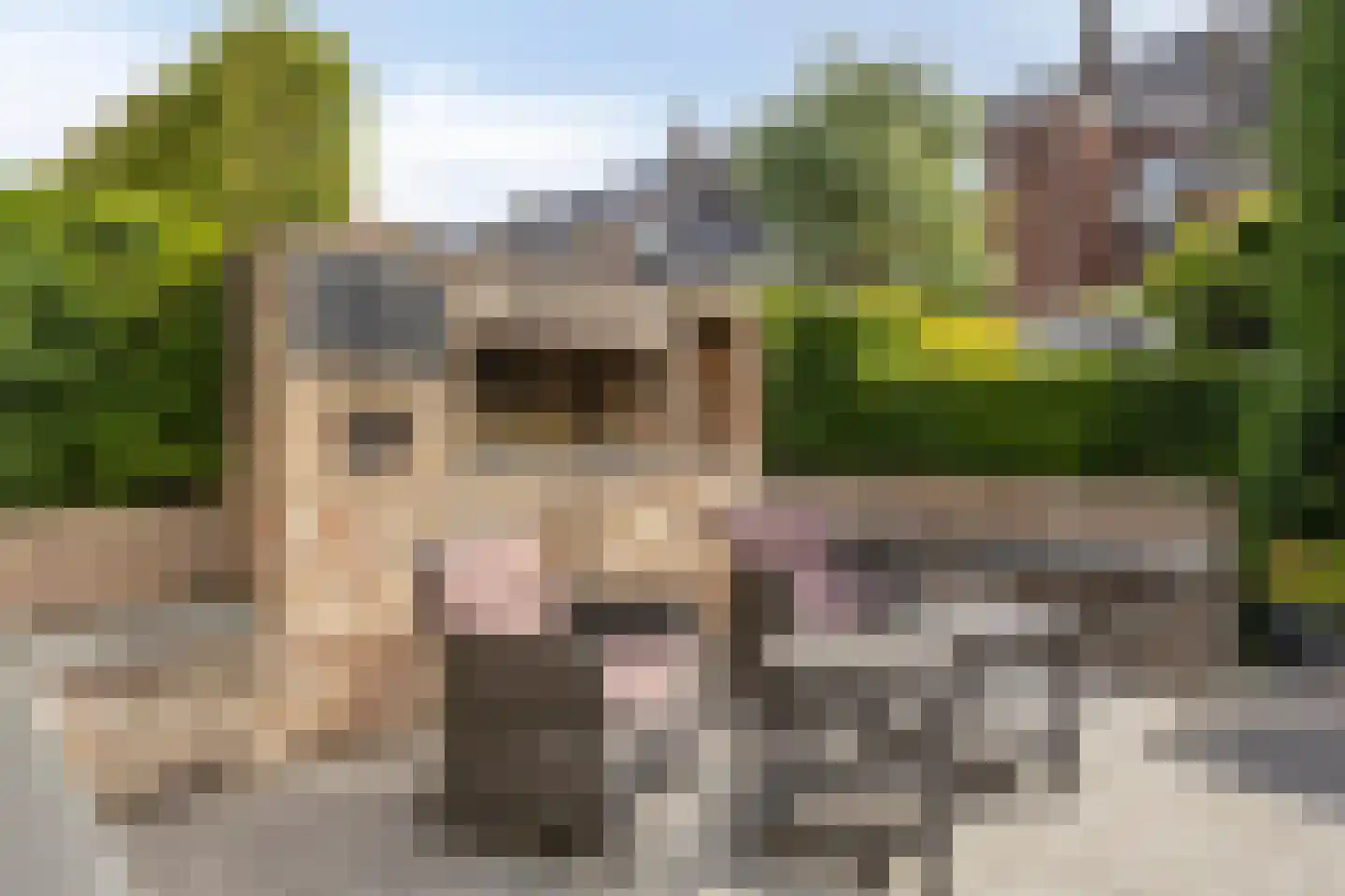 Minderbroederssingel 62 Roermond thumbnail 36