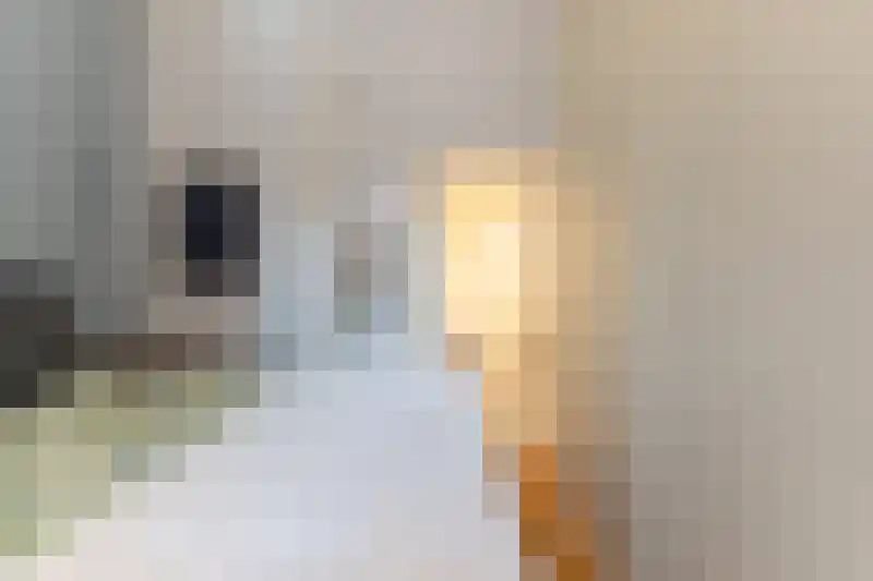 Minderbroederssteeg 1 Gouda thumbnail 17