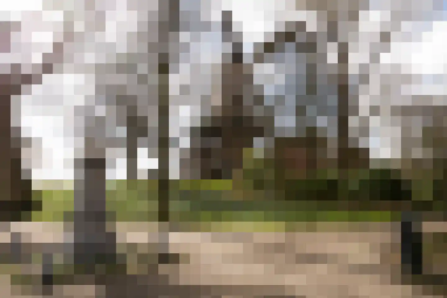 Minderbroederssteeg 1 Gouda thumbnail 24
