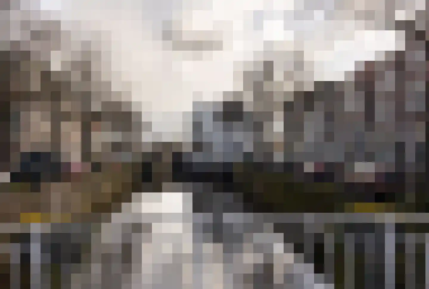 Minderbroederssteeg 1 Gouda thumbnail 25