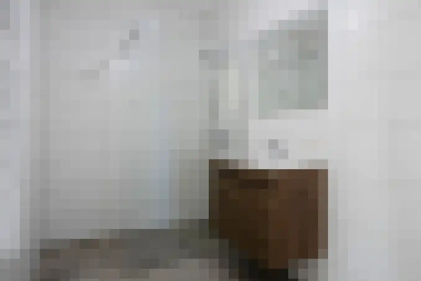 Minderbroedersstraat 20 Hulst thumbnail 9