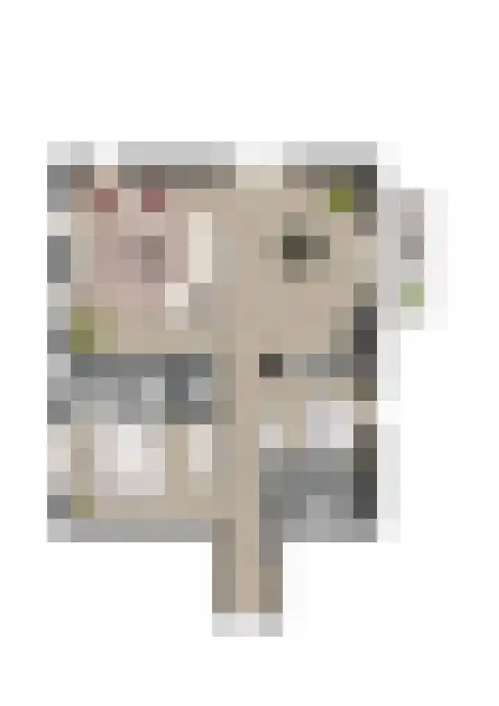Minderbroedersstraat 46 Hulst thumbnail 9
