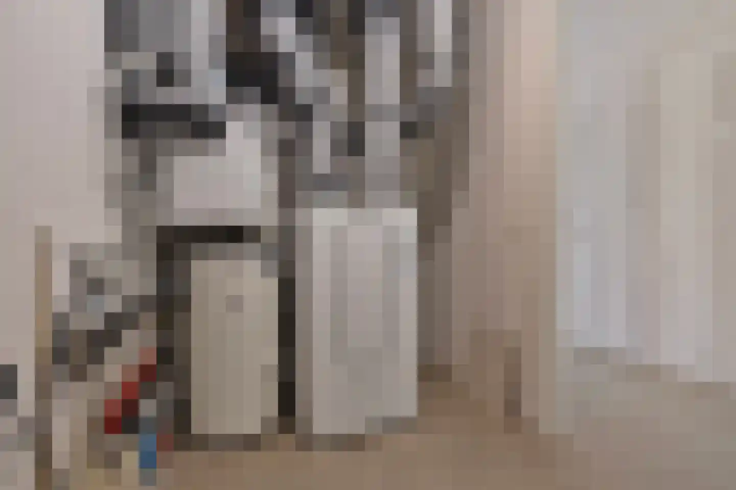 Minderbroedersstraat 64 Hulst thumbnail 26
