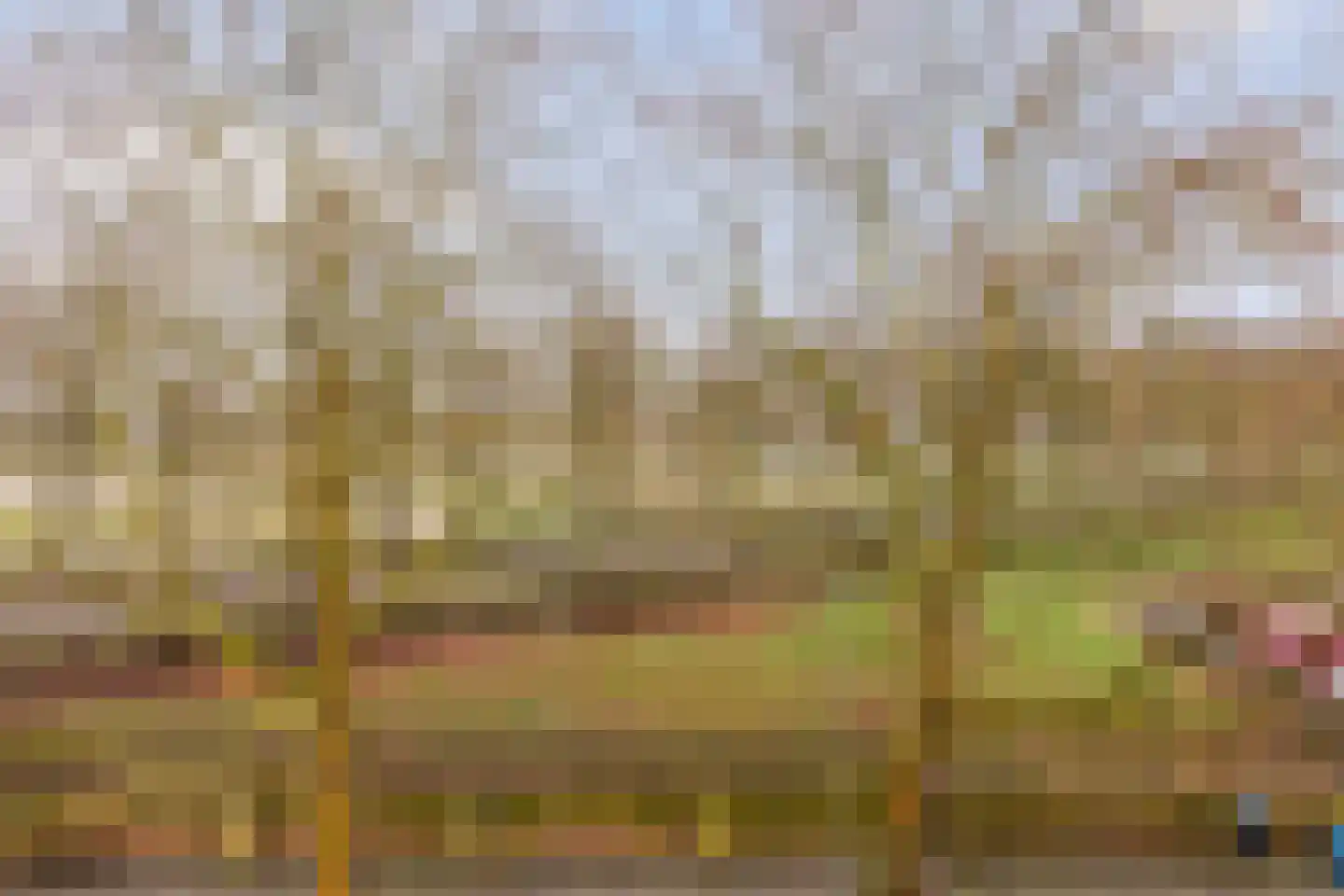 Minderbroedersstraat 64 Hulst thumbnail 4