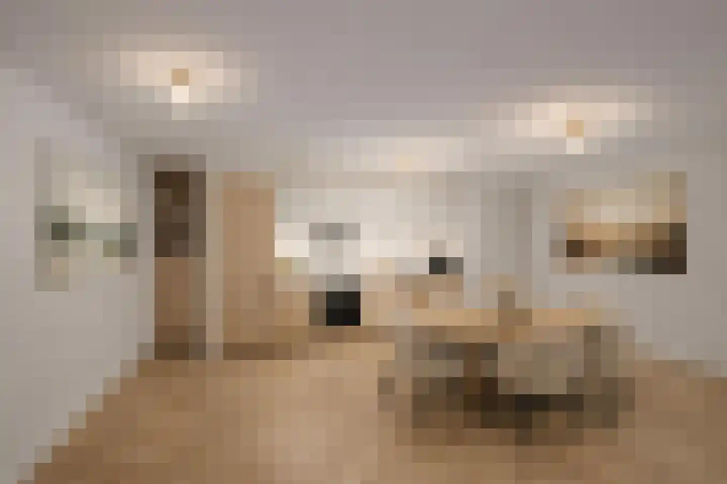 Minderbroedersstraat 68 Hulst thumbnail 13