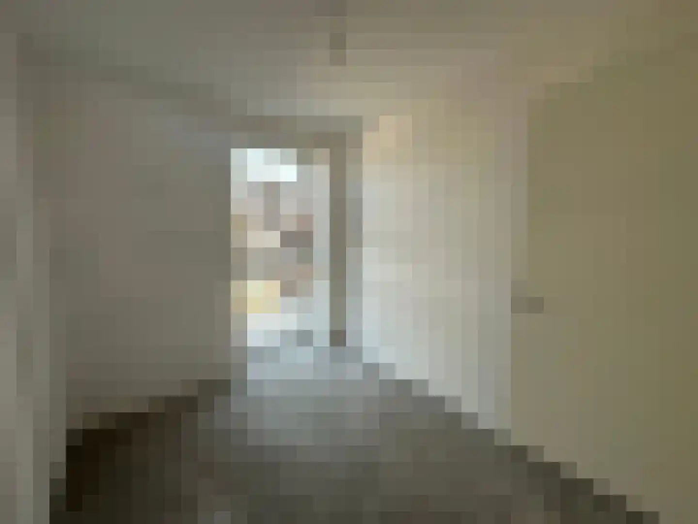 Minderbroedersstraat 68 Hulst thumbnail 17