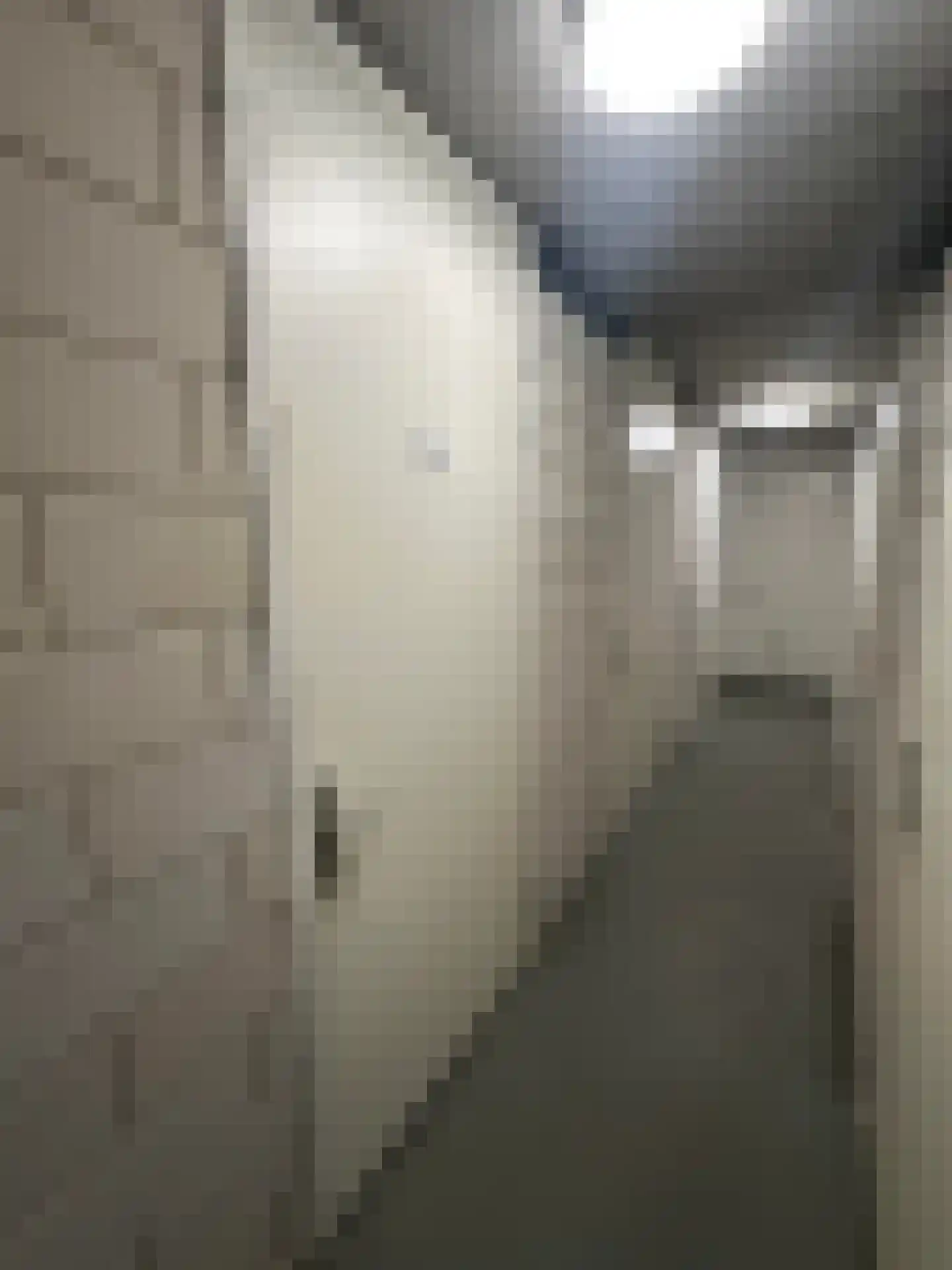 Minderbroedersstraat 68 Hulst thumbnail 24