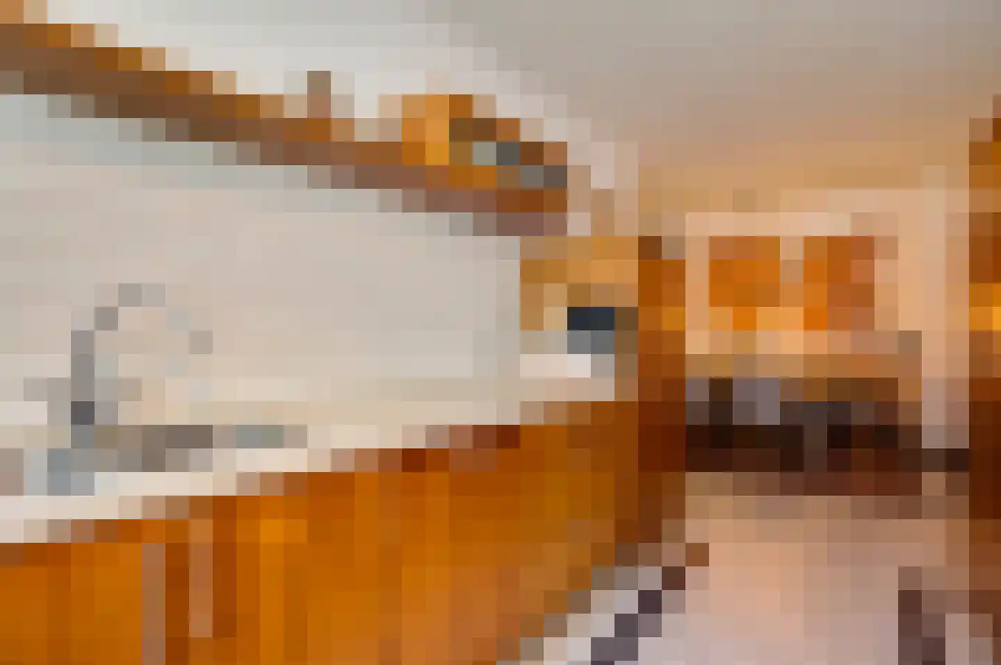 Minderbroedersstraat 7 Roermond thumbnail 11