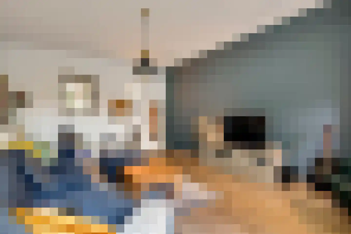 Minderbroedersstraat 7 Roermond thumbnail 14
