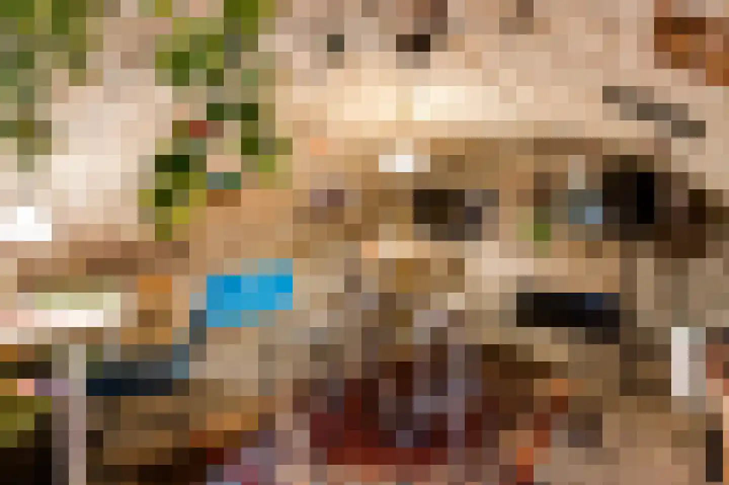 Minderbroedersstraat 7 Roermond thumbnail 17