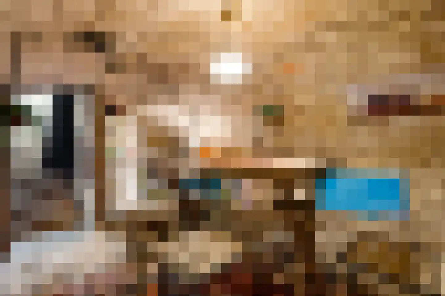 Minderbroedersstraat 7 Roermond thumbnail 18