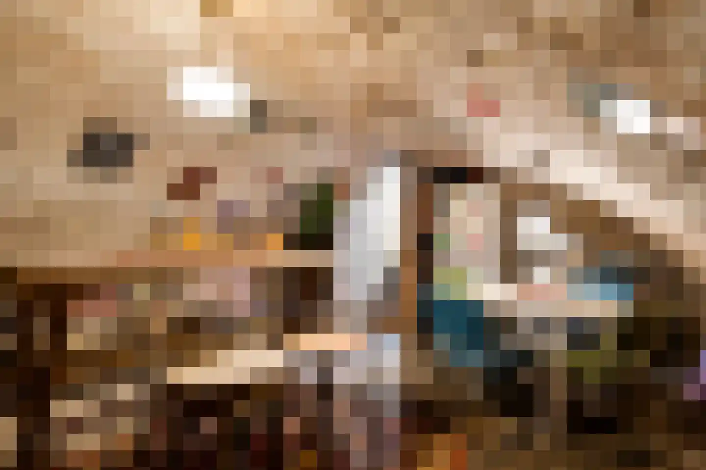 Minderbroedersstraat 7 Roermond thumbnail 19