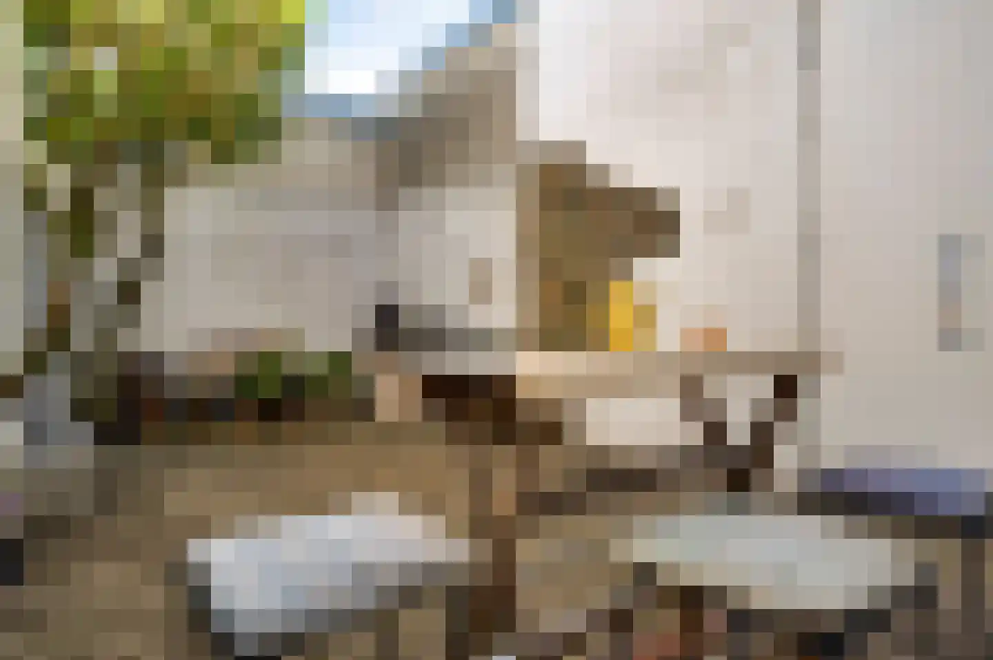 Minderbroedersstraat 7 Roermond thumbnail 20