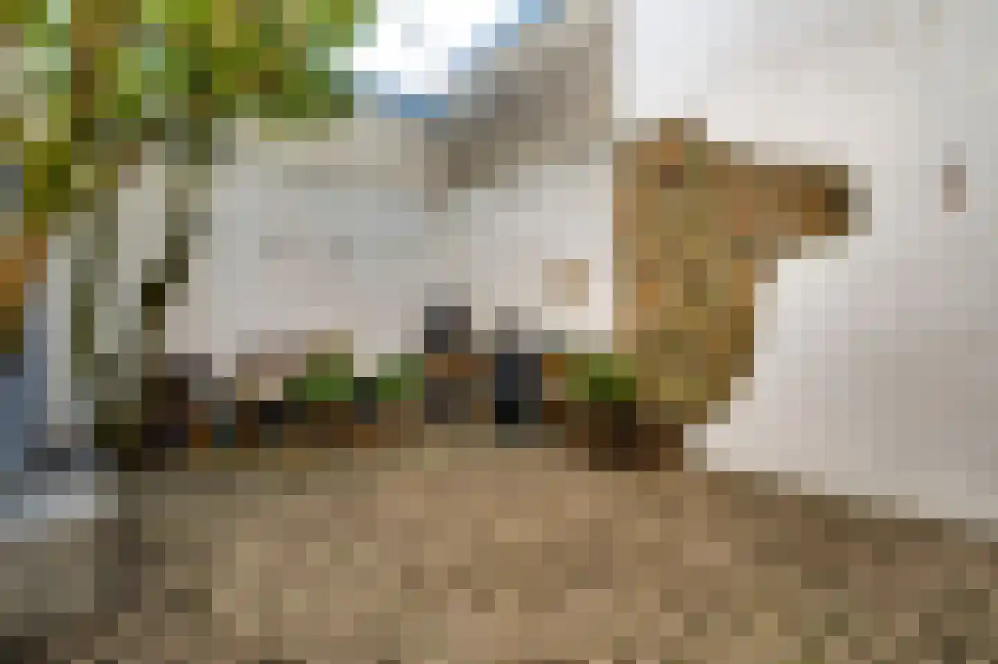 Minderbroedersstraat 7 Roermond thumbnail 21