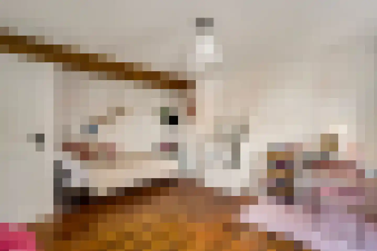 Minderbroedersstraat 7 Roermond thumbnail 22