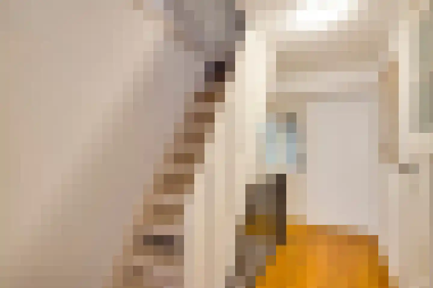 Minderbroedersstraat 7 Roermond thumbnail 26